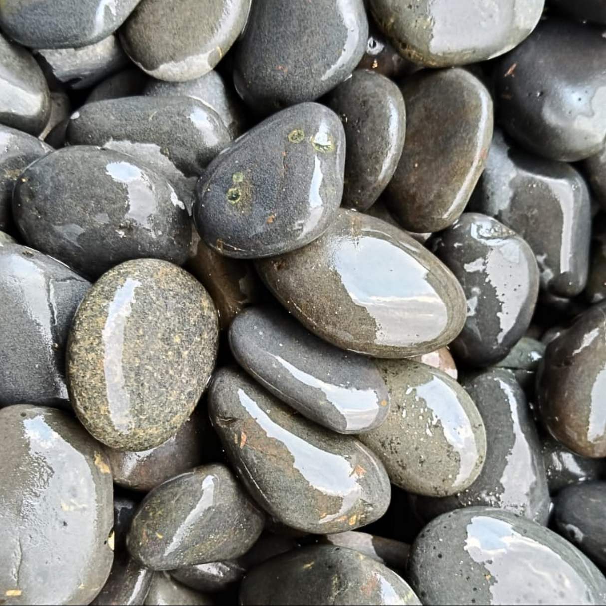Pebble Stone Gravels