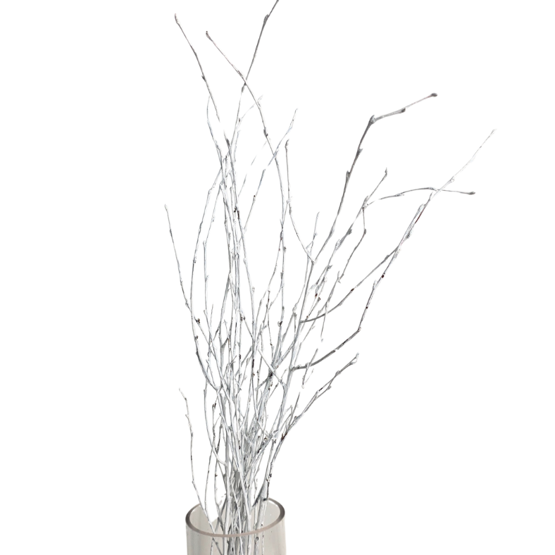 Huckle Berry (Holland)