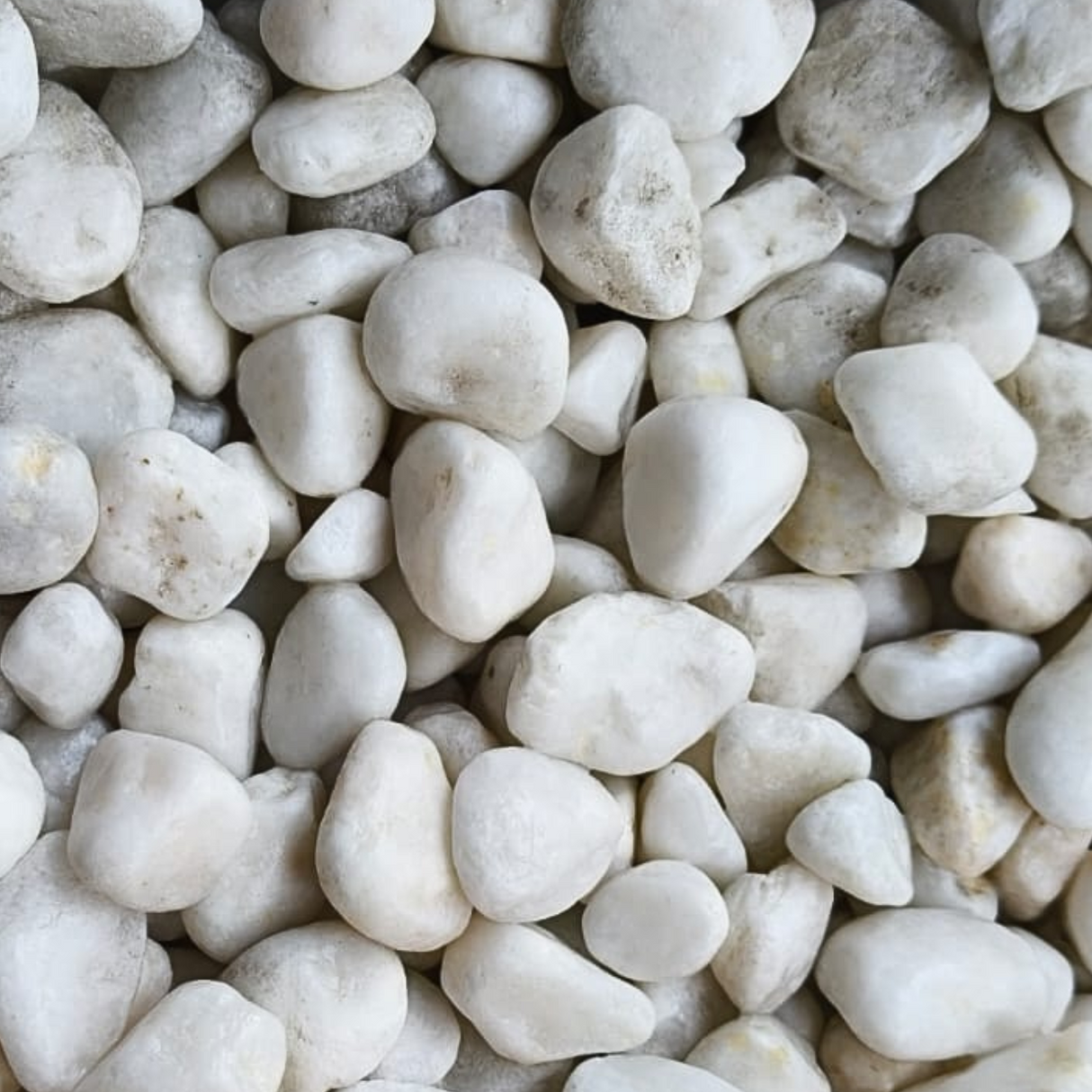 Pebble Stone Gravels