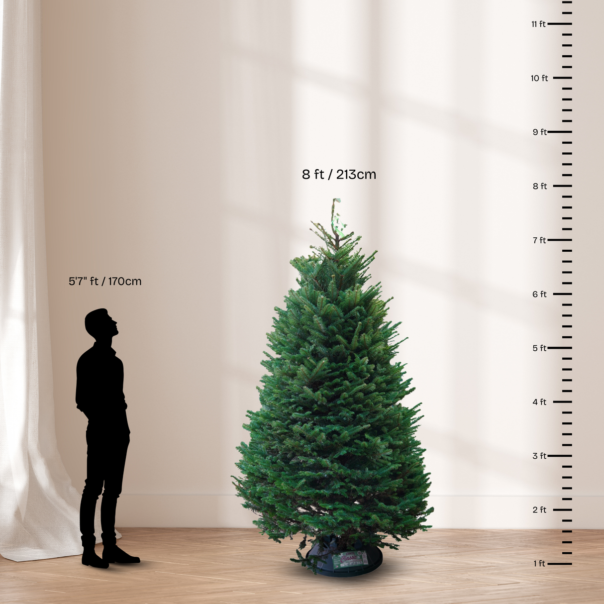 Noble Fir Christmas Tree 8-9FT (USA No.1 Grade)