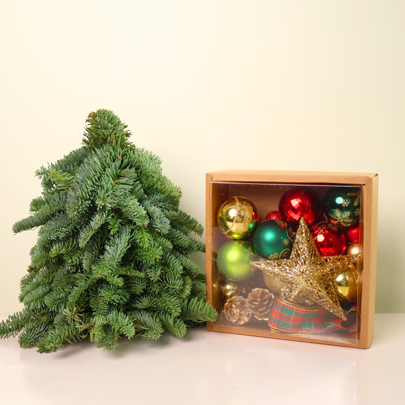 Premium DIY Kit - Fresh Mini Christmas Tree