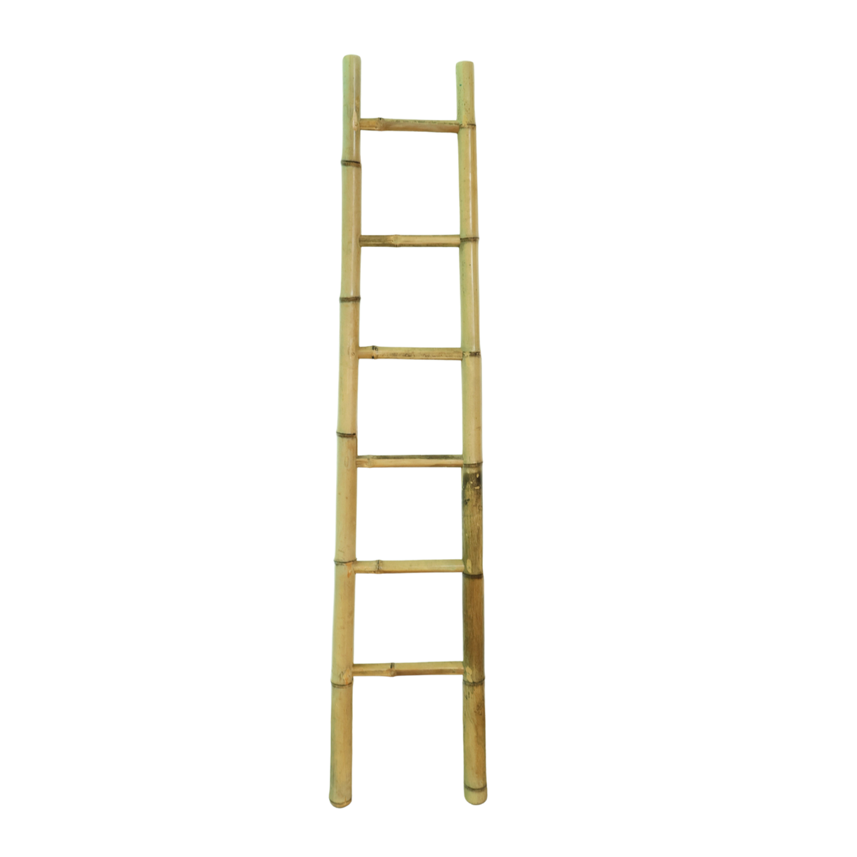 Cylinder and ladder.