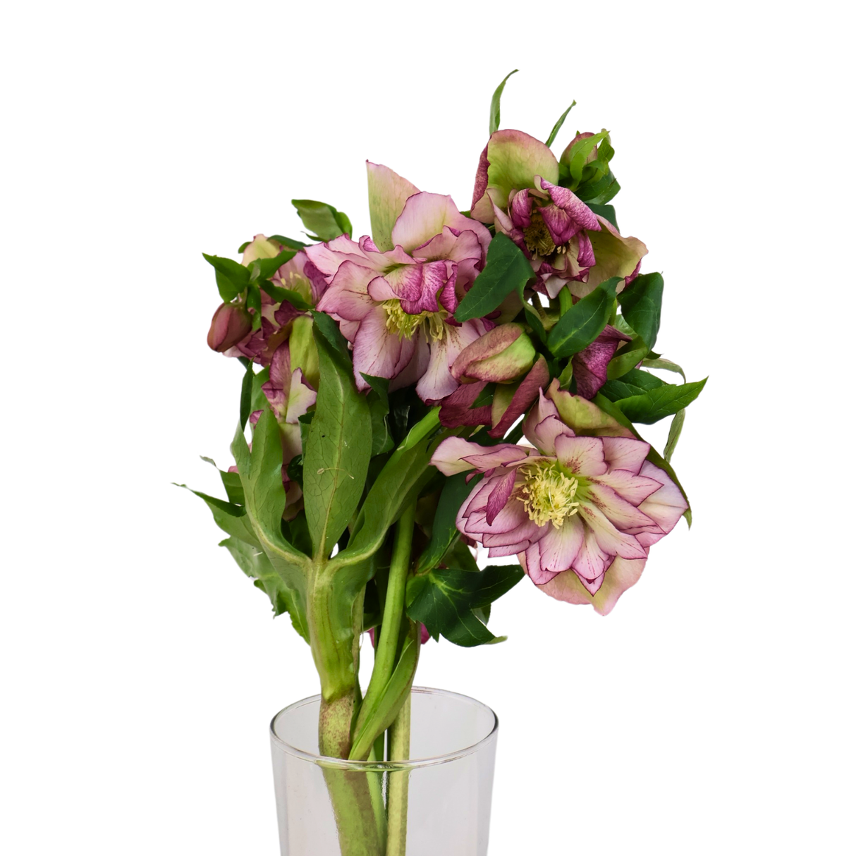 Pink flower bouquet in vase.