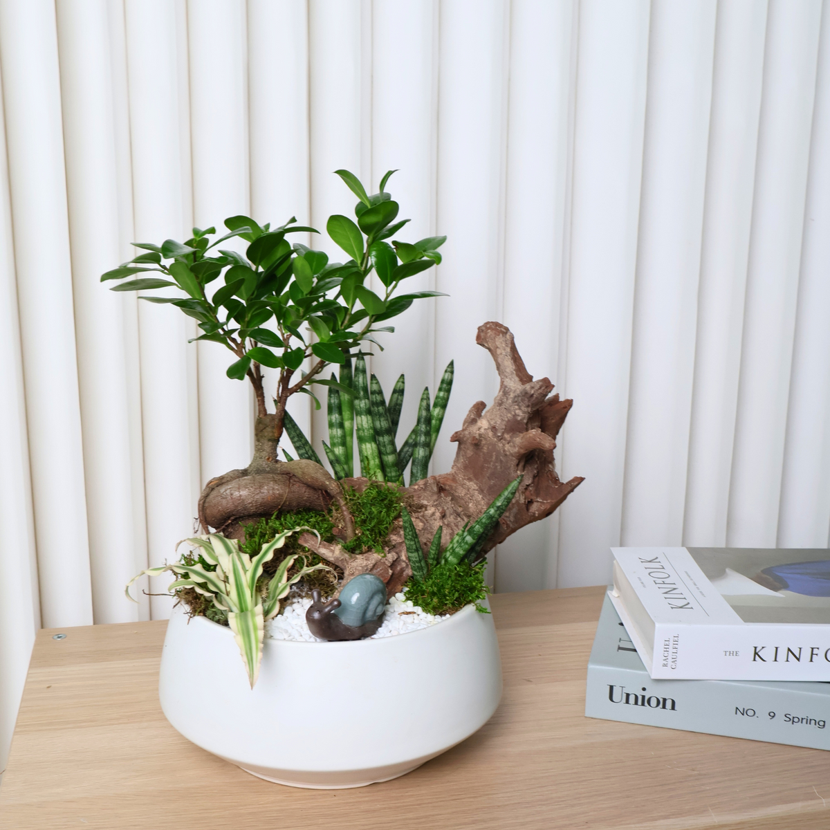 Sansevieria Cylindrica Snake Plant Arrangement JM Floral JM Flower