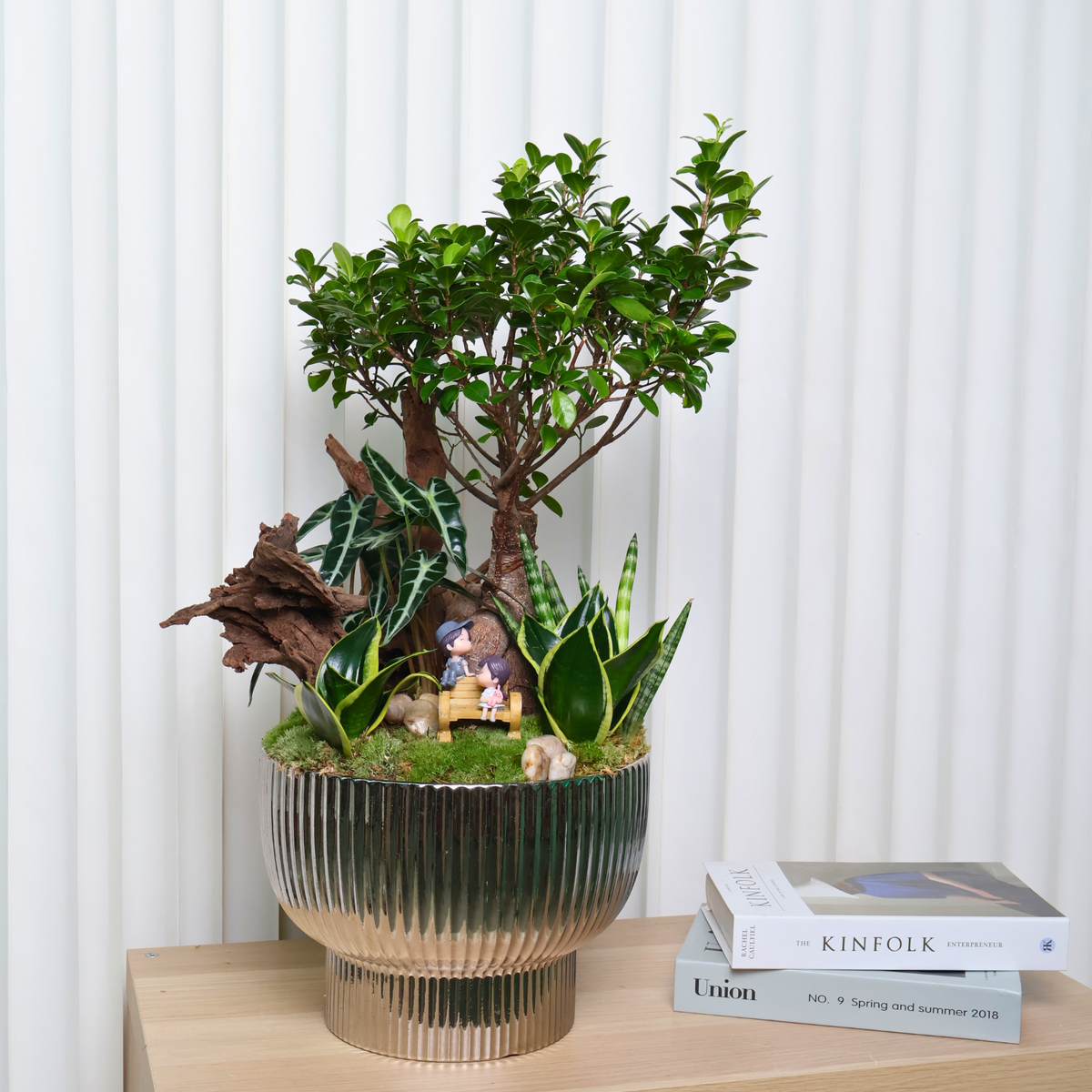 Ficus Micropora Bonsai Plant Arrangement JM Floral JM Flower