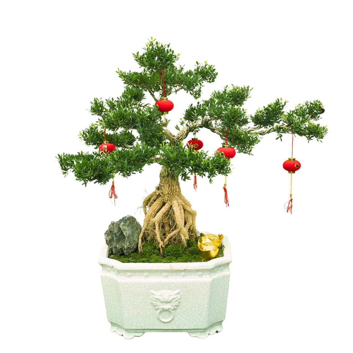 Bonsai tree in flowerpot with toy houseplant.