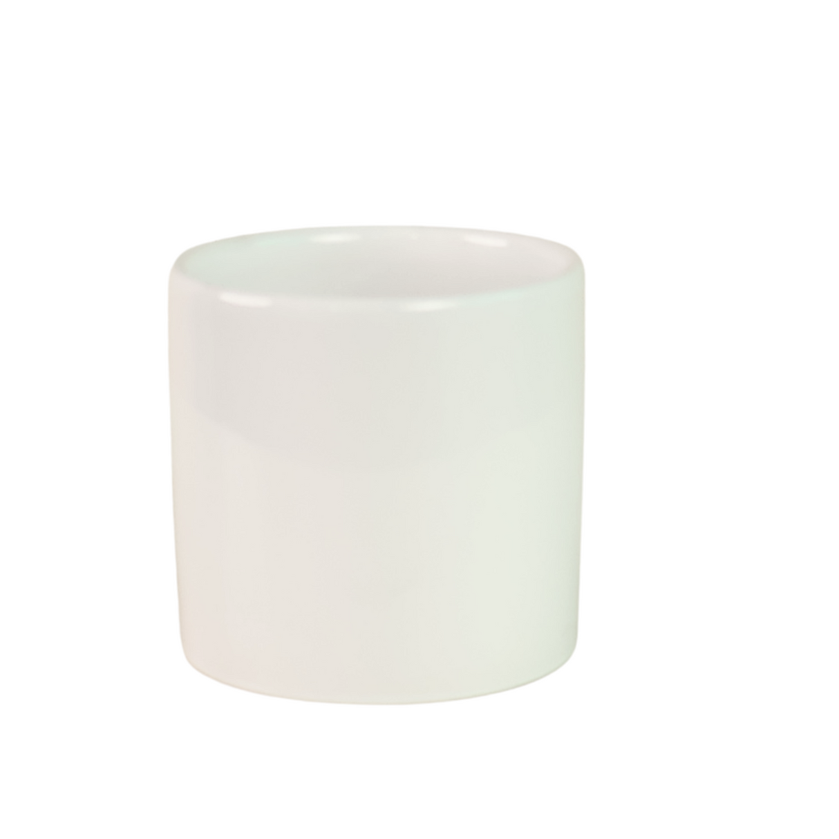 Flowerpot with houseplant and maple leaf.