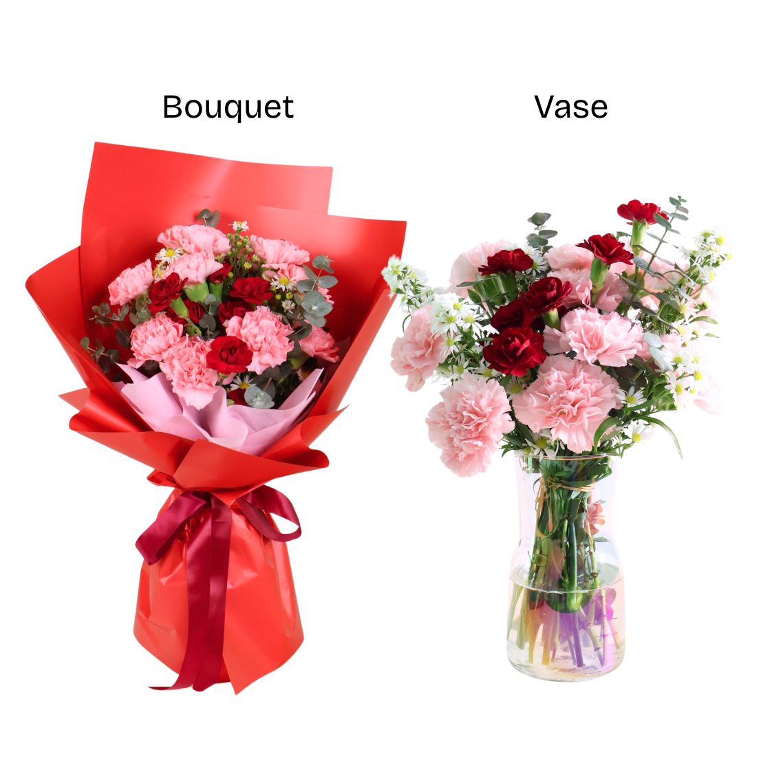 Warm Hugs (10 Carnations)