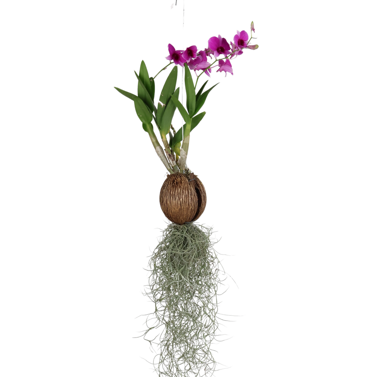 Purple flower bouquet in vase.