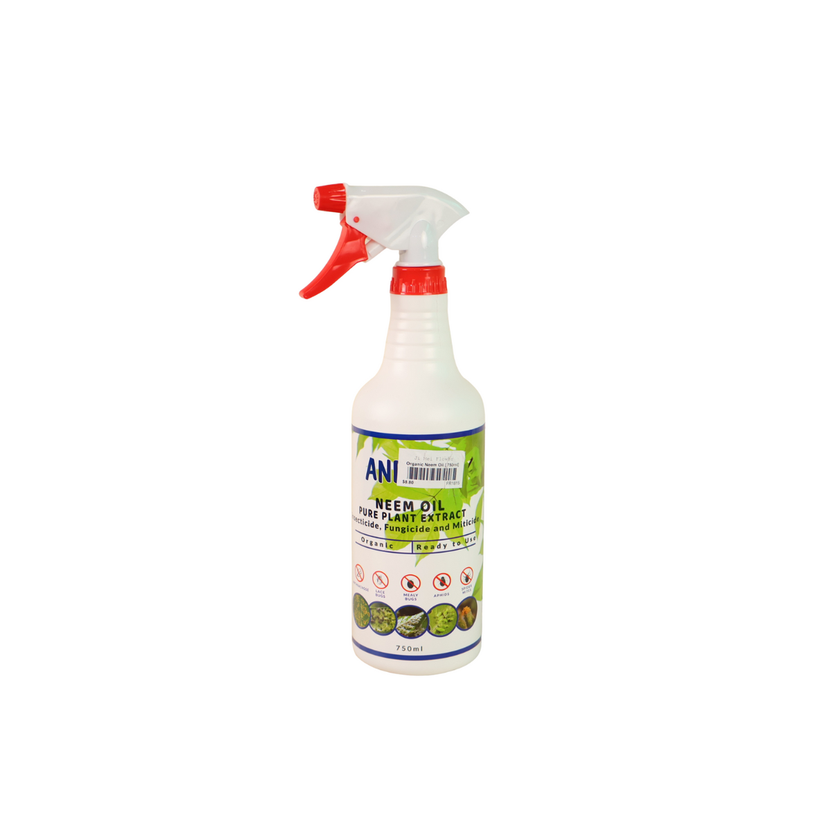 Household cleaning spray bottle.
