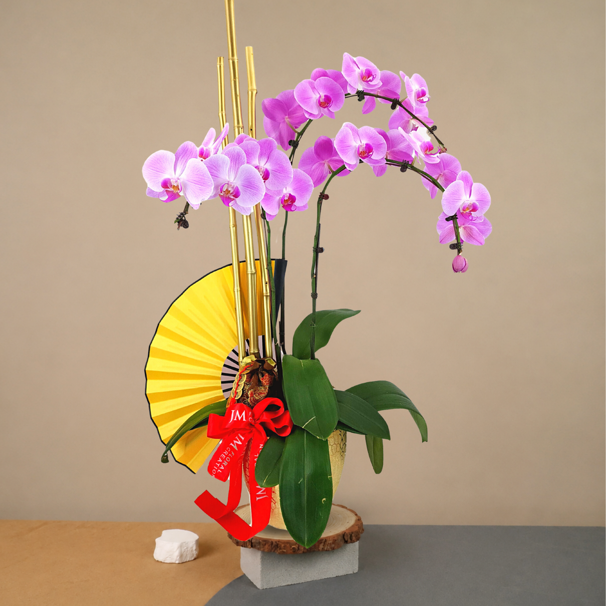 Triple Fortune (3 Single Stalks)- Orchid Phalaenopsis