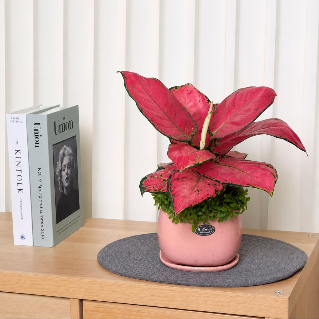 Aglaonema (Chinese Evergreen 万年青) with Dragon Seed