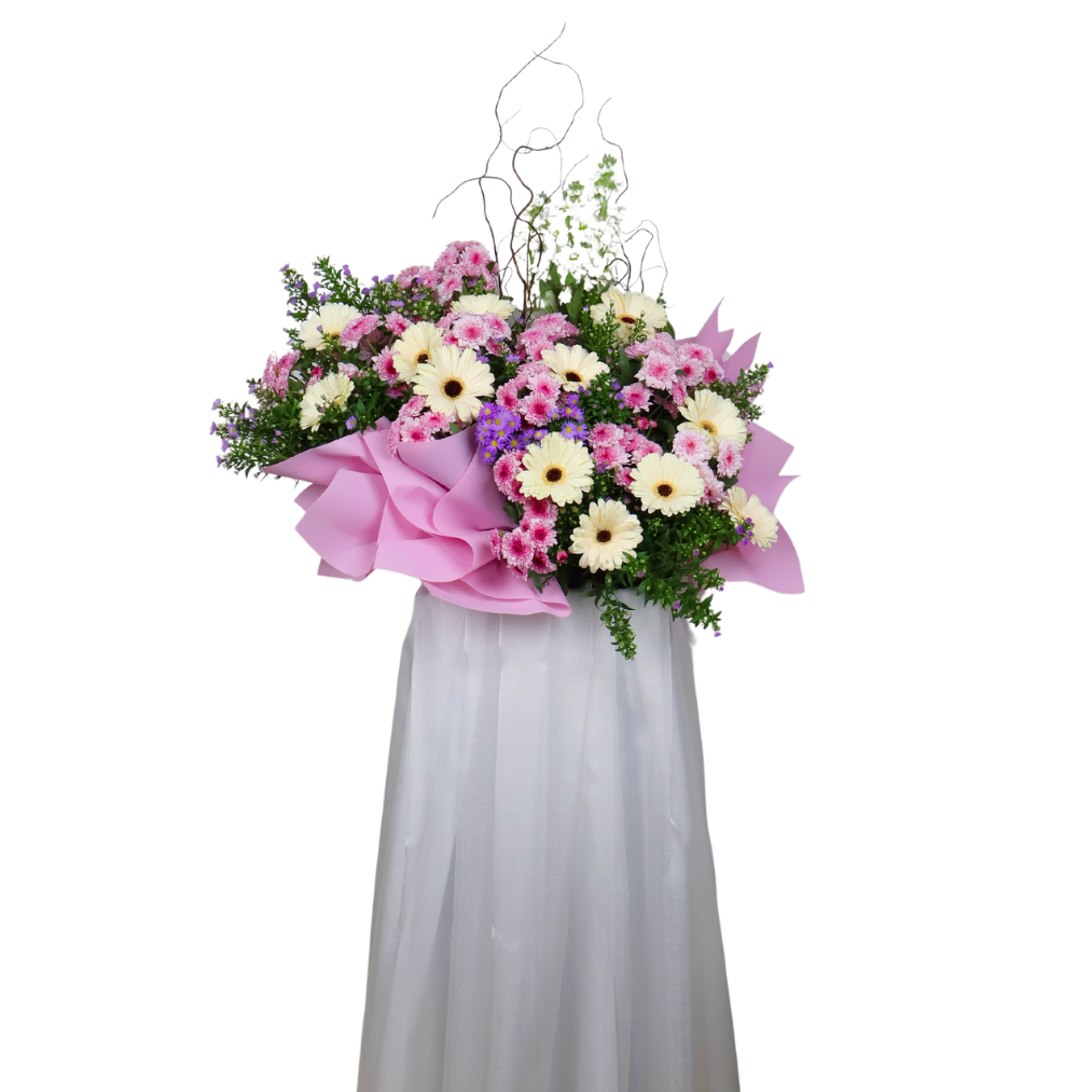 Assorted houseplants in flowerpot.