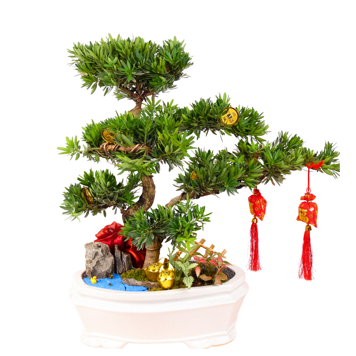 Bonsai tree in flowerpot with conifers and geraniums.