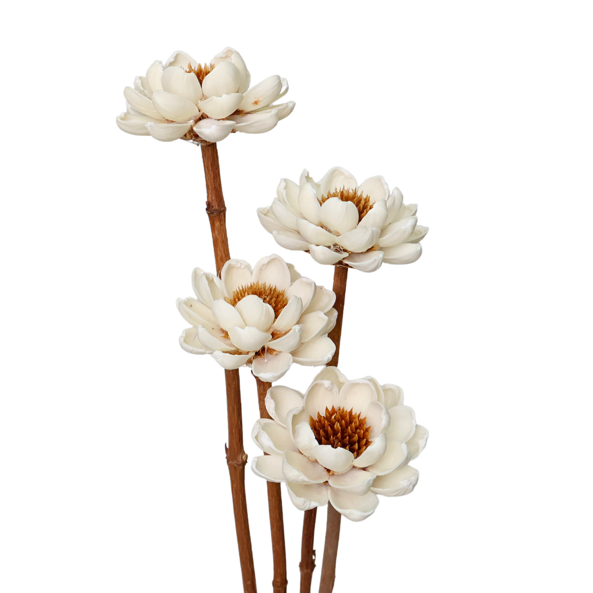 Rudbeckia Hand Crafted Art Flower