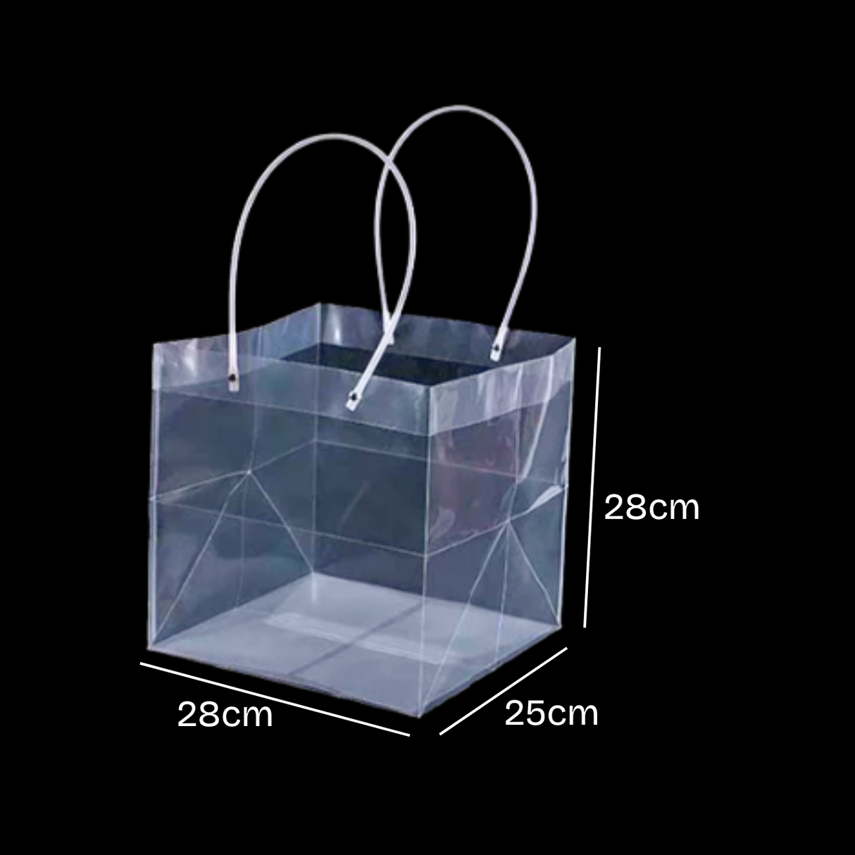 Transparent Hand Bag Square