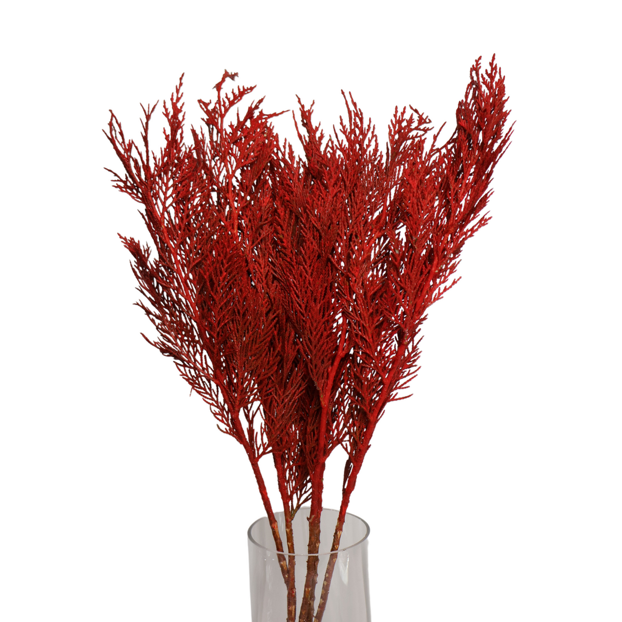 Red amaranth in natural material vase.
