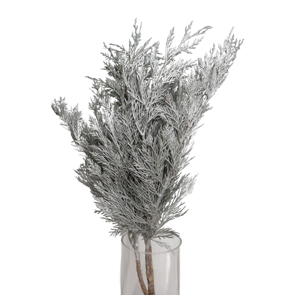 Cedar Christmas (South Africa)