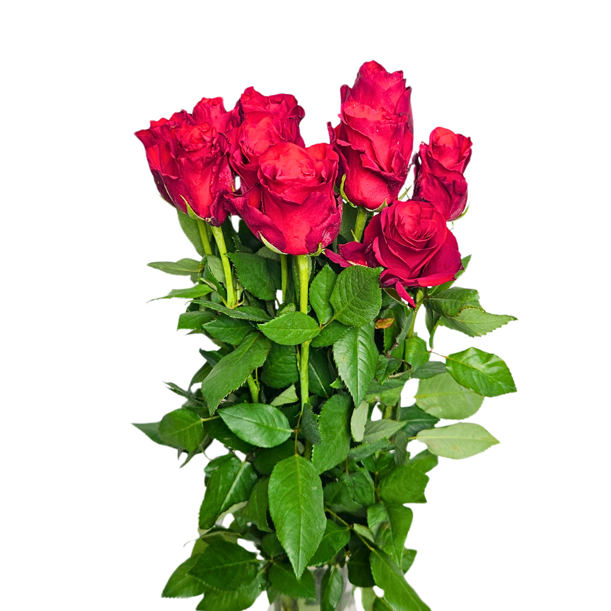 Colorful flower bouquet with red, yellow, and pink garden roses.