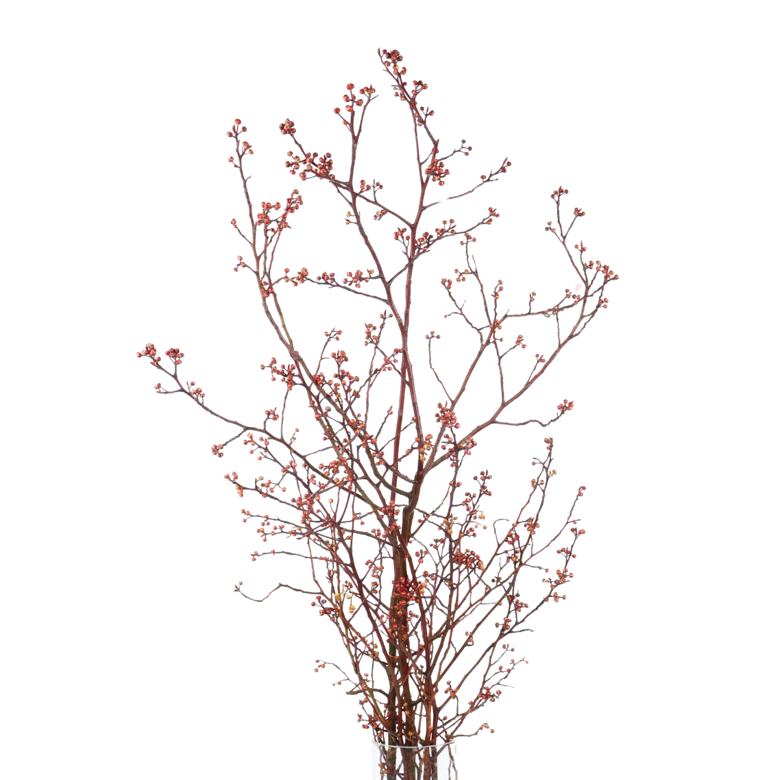 Crystal natural material with houseplant.