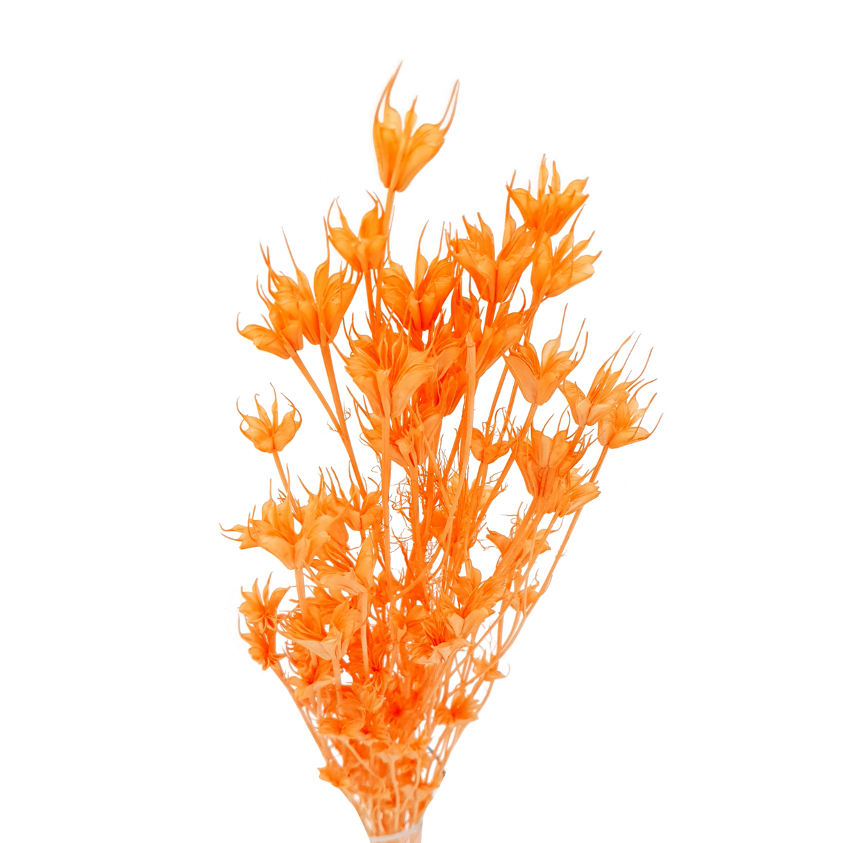 Orange crystal mineral on natural material.