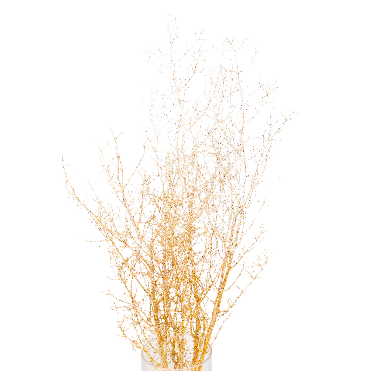 Asparagus Glitter (China)