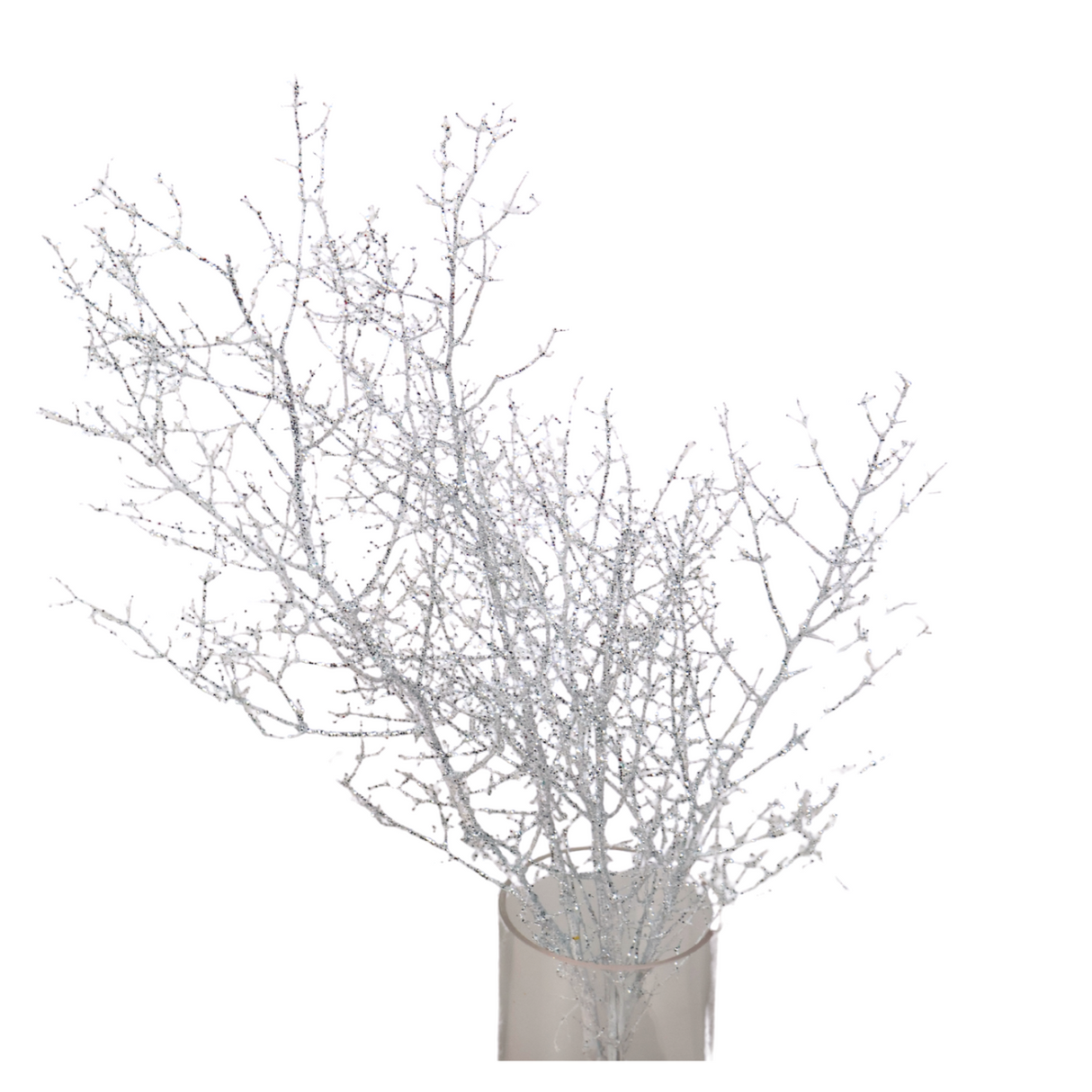 Asparagus Glitter (China)