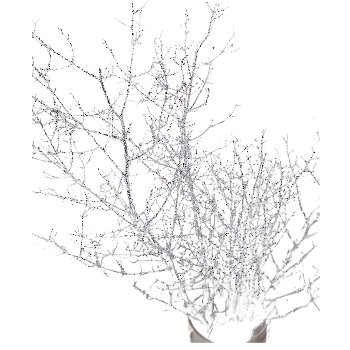 Asparagus Glitter (China)