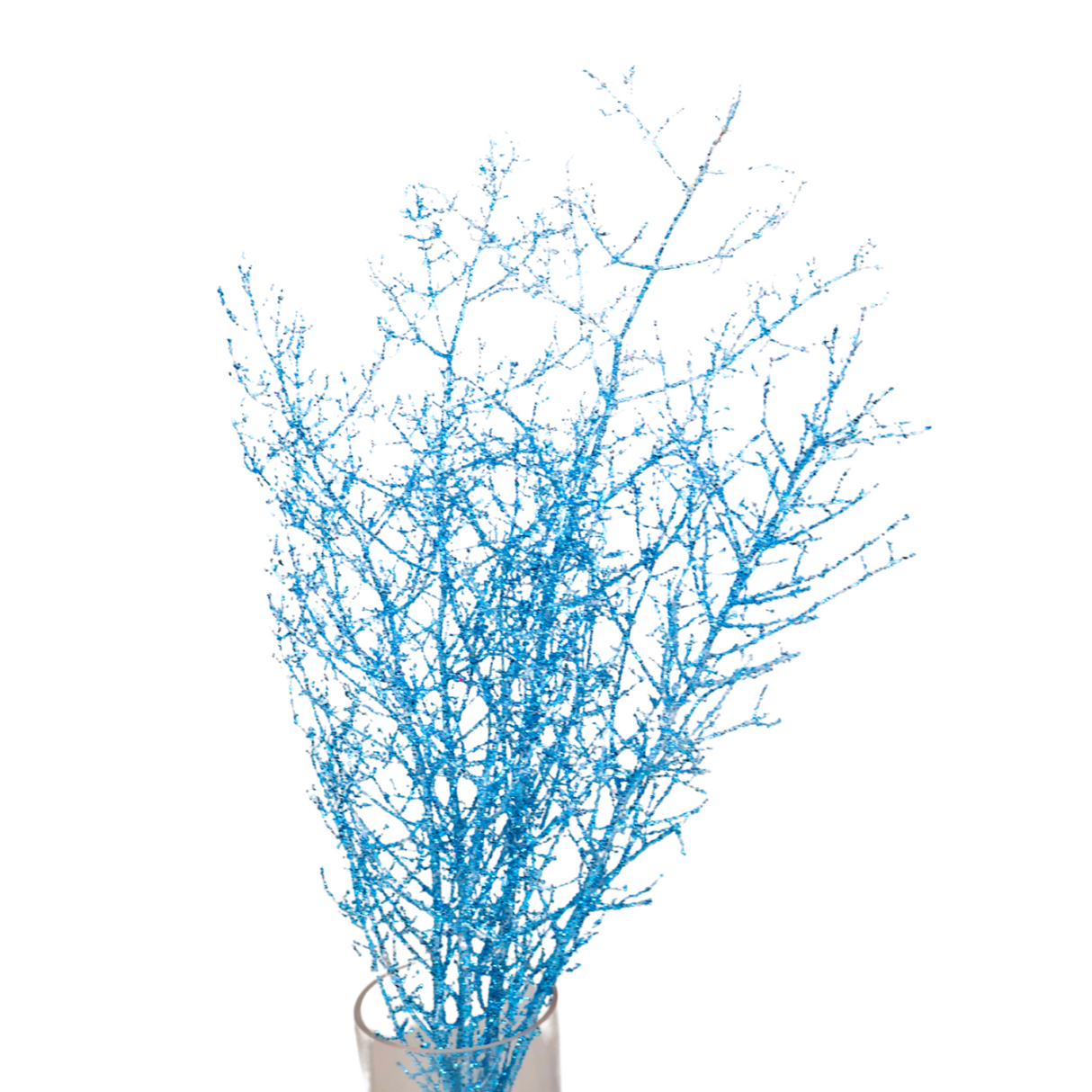 Asparagus Glitter (China)