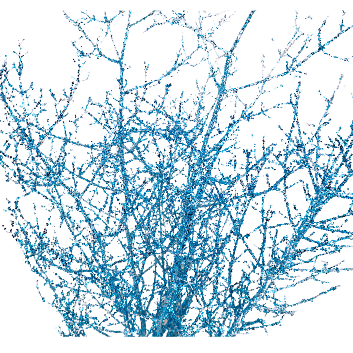 Asparagus Glitter (China)