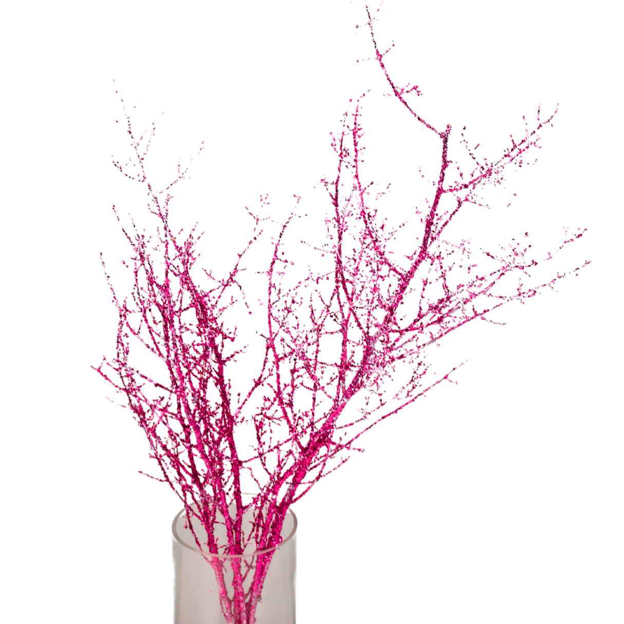 Asparagus Glitter (China)