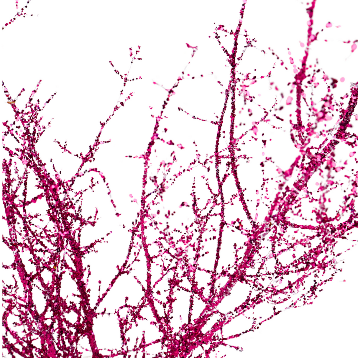 Asparagus Glitter (China)