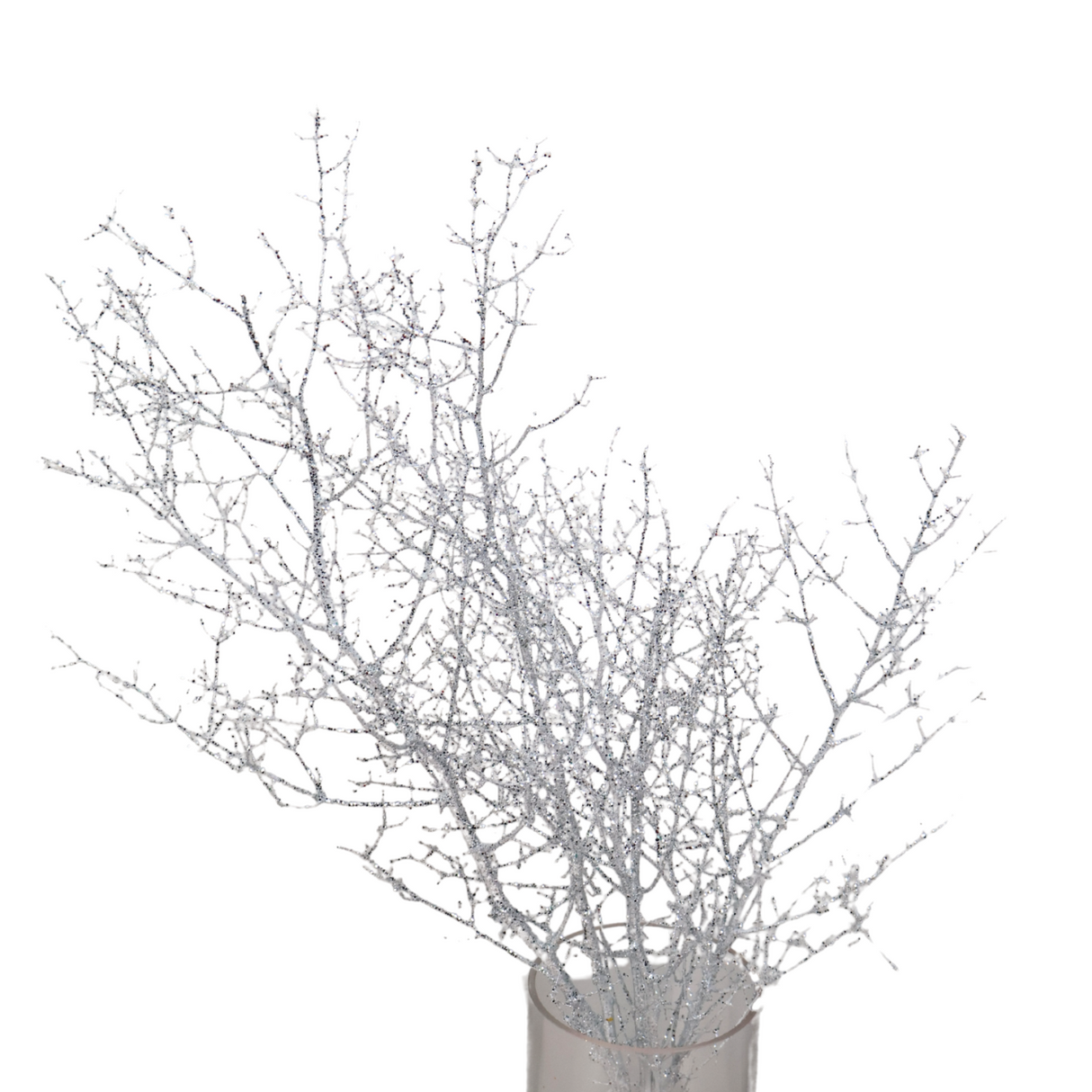 Asparagus Glitter (China)