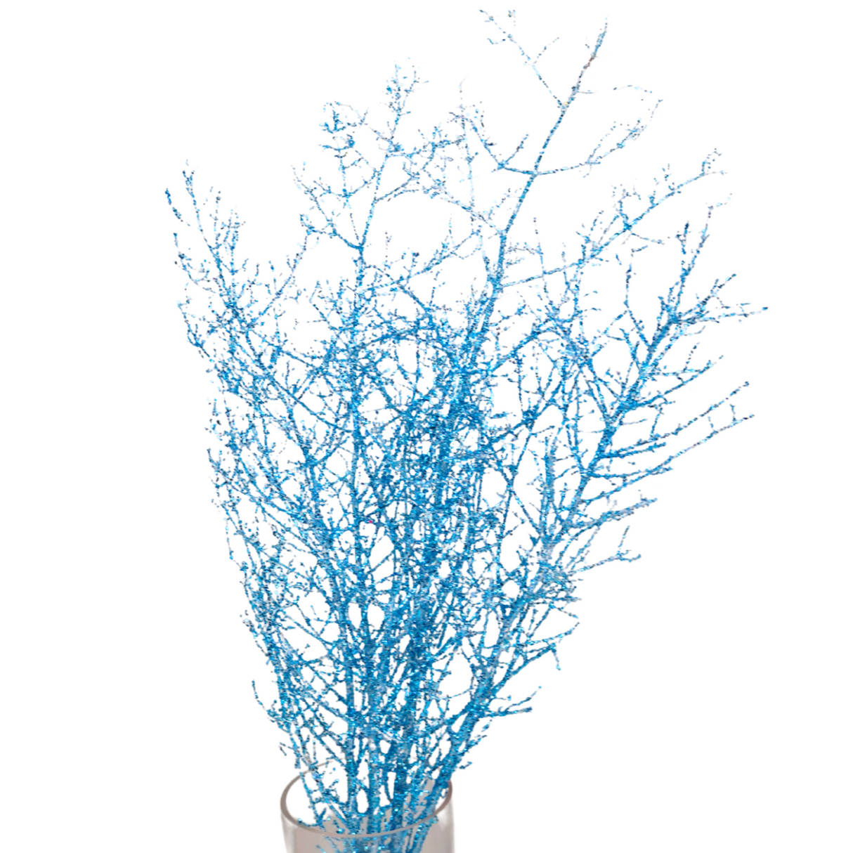 Asparagus Glitter (China)