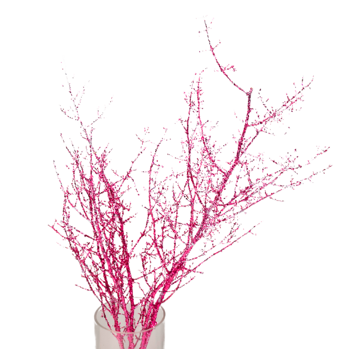 Asparagus Glitter (China)