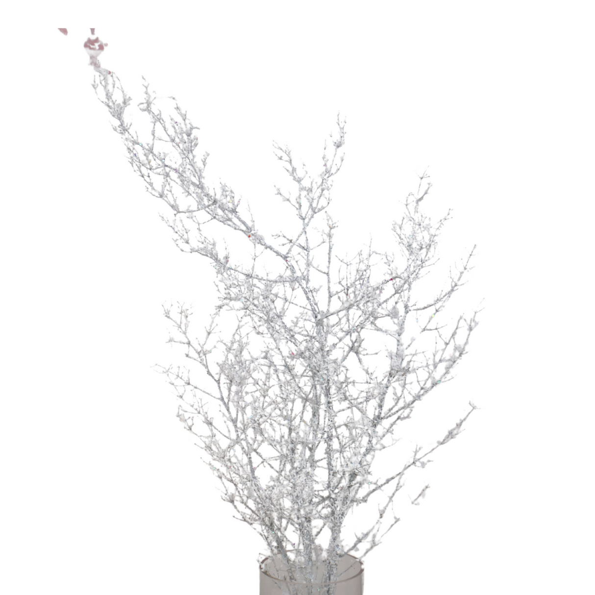 Asparagus Glitter (China)