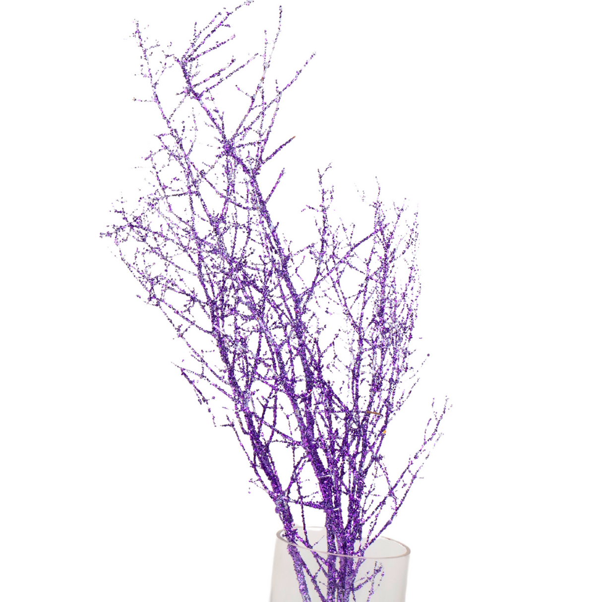 Asparagus Glitter (China)