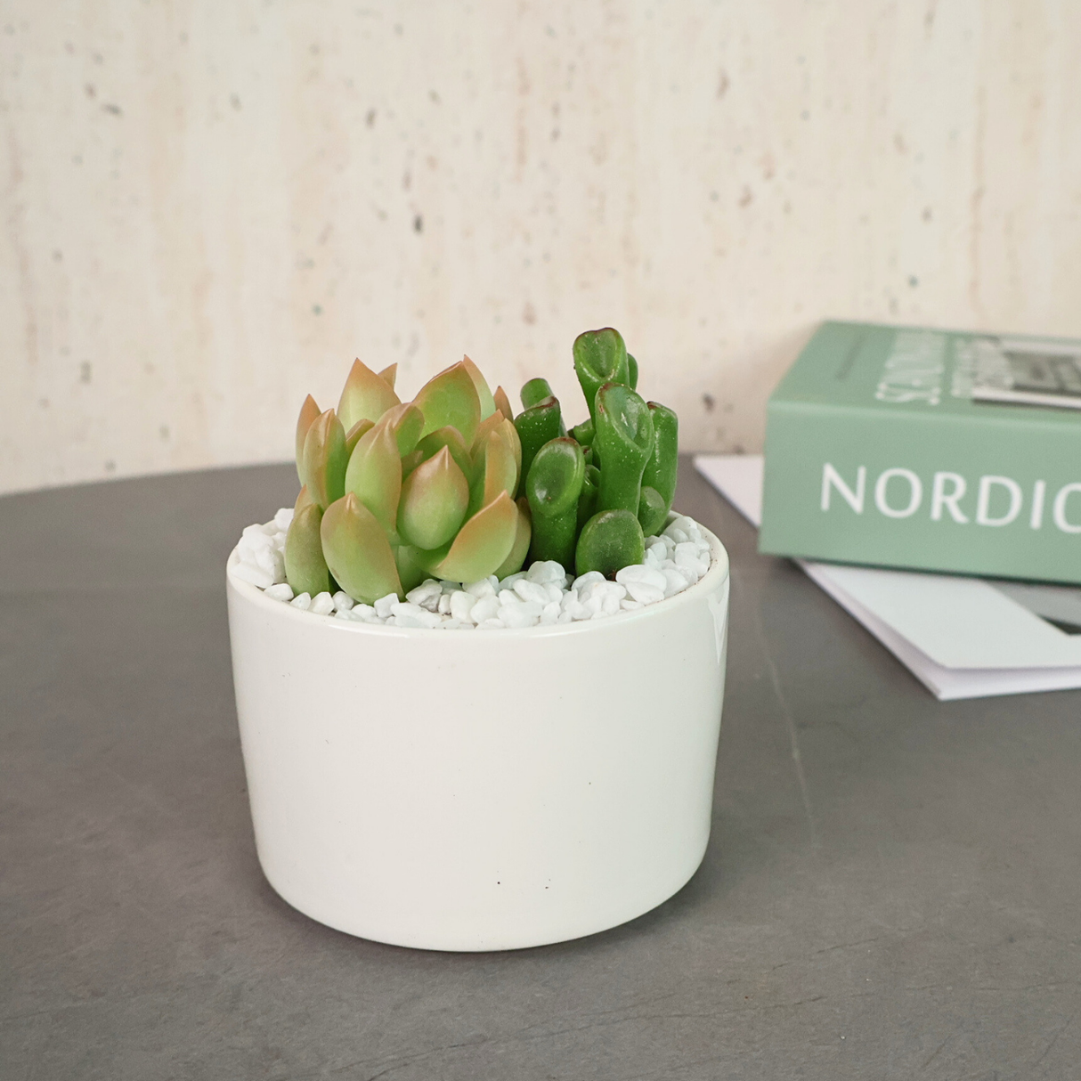 Nordic Semiconductor logo with succulent plant and pebble.