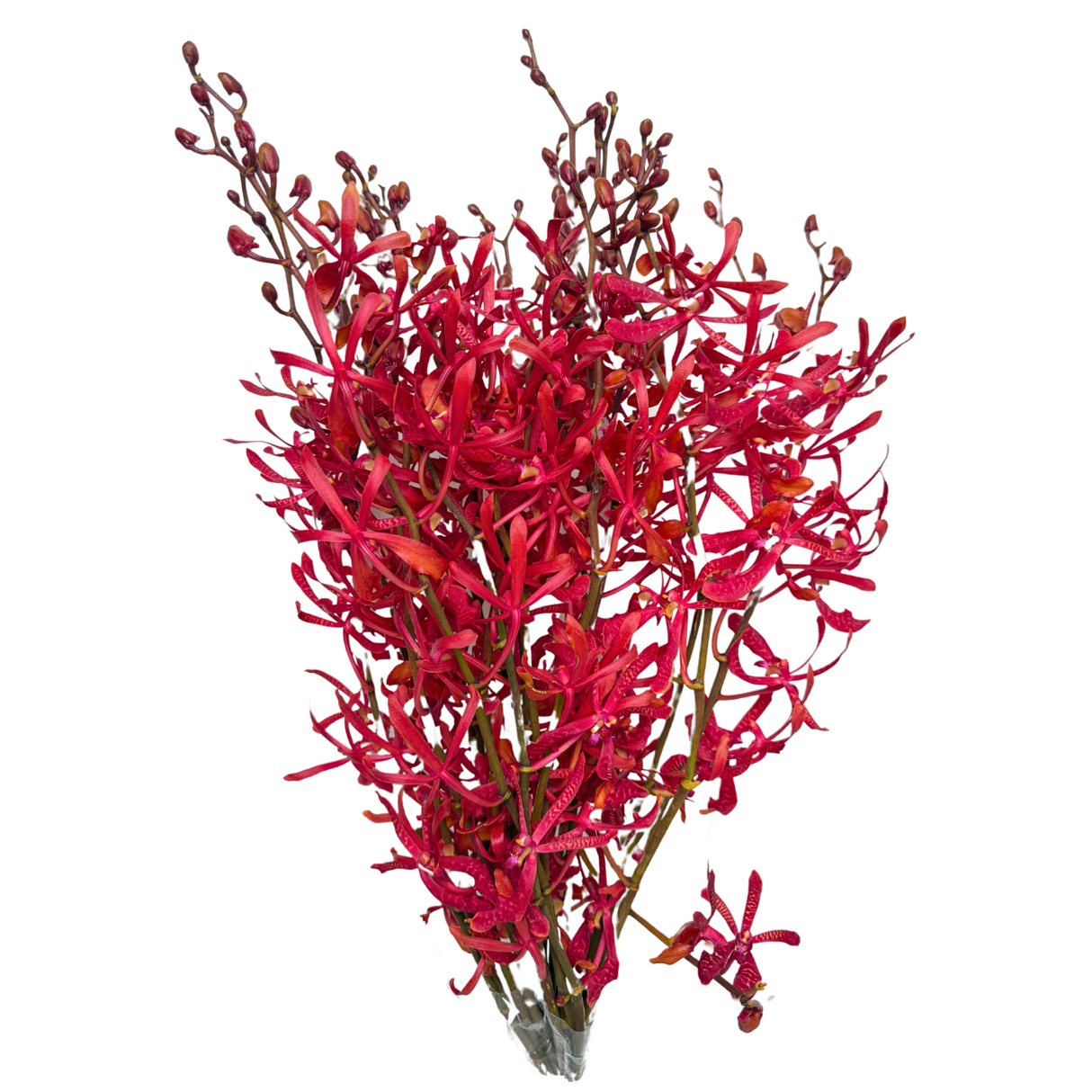 Floristry arrangement with red flowers and greenery.