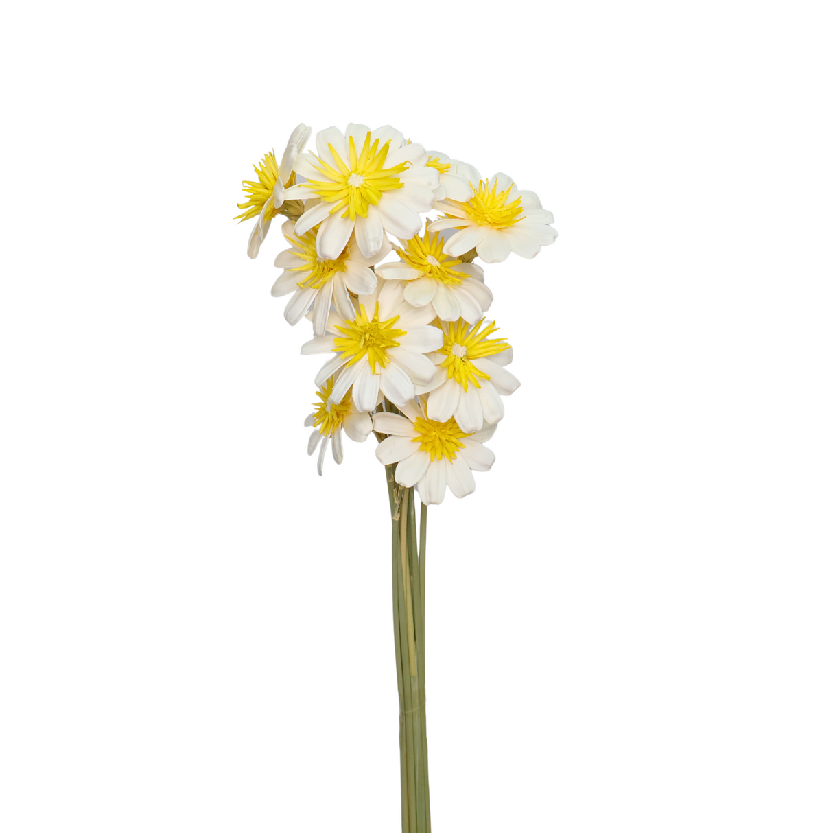 Daisy Hand Crafted Art Flower