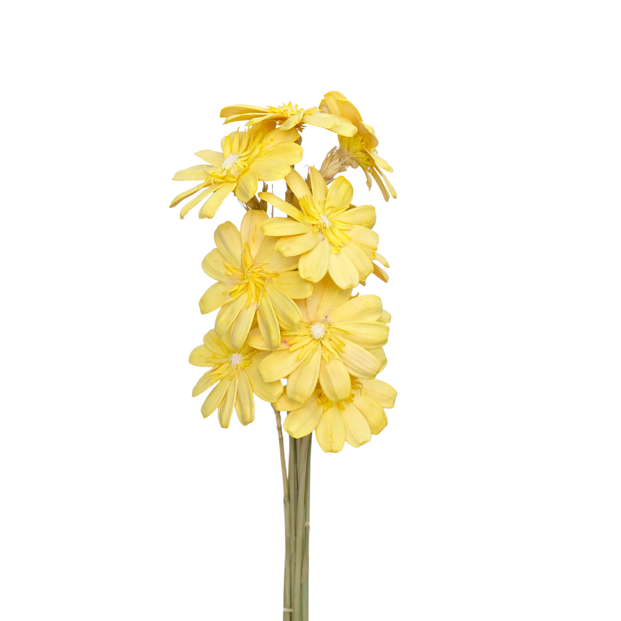 Daisy Hand Crafted Art Flower