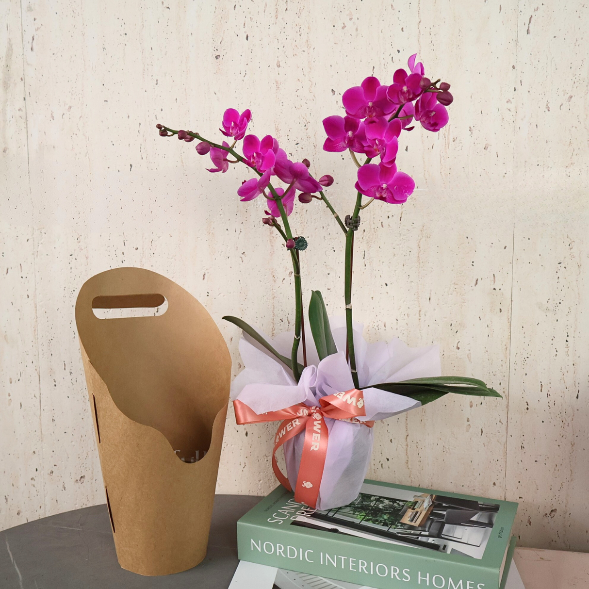 Mini Phalaenopsis Orchids - Corporate Gifts