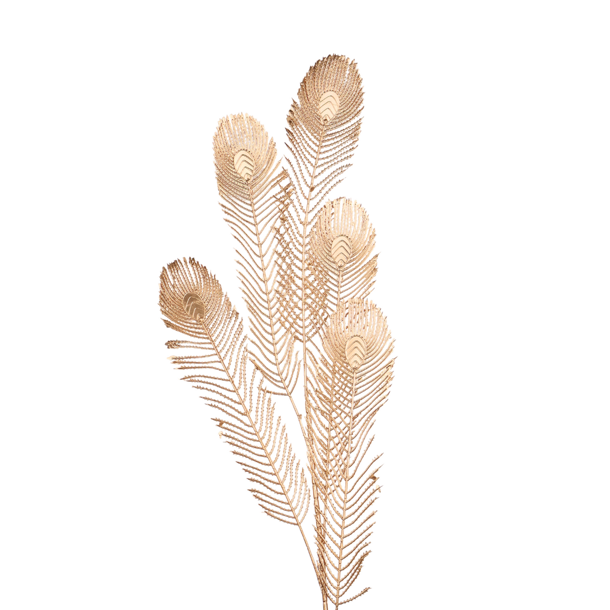 Feather on natural material.