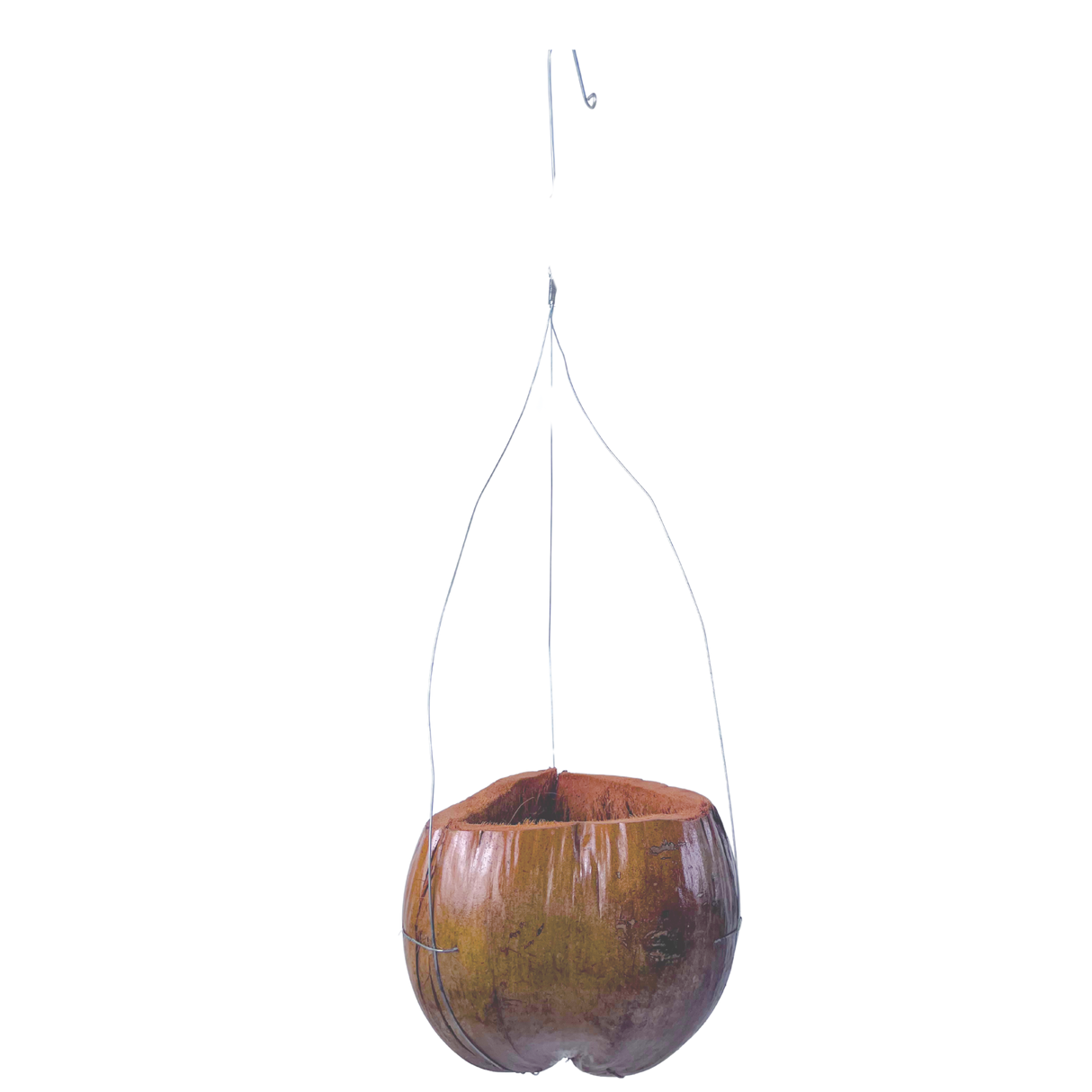 Coconut Shell Hanging