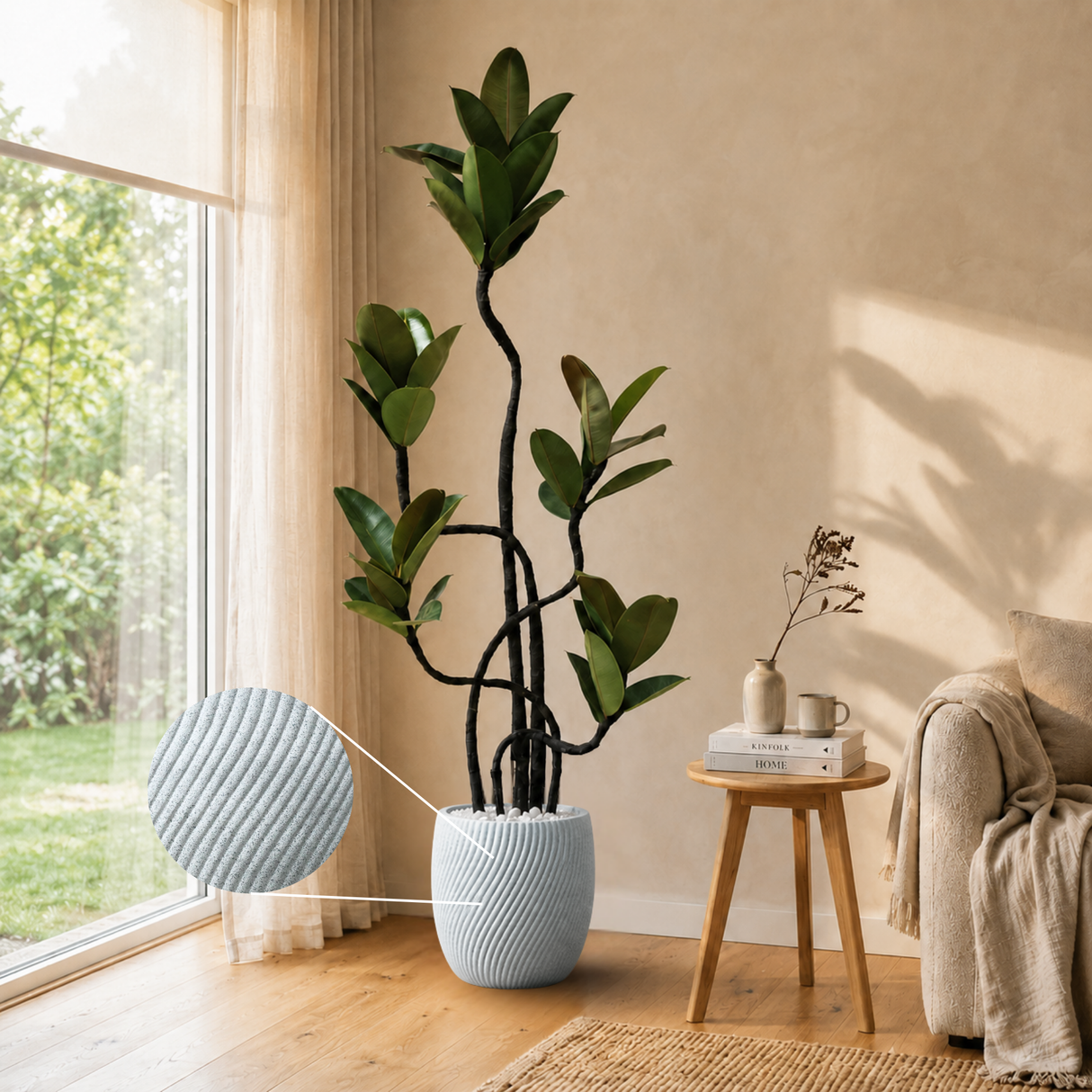 Ficus Elastica (Rubber Plant) in Ceramic Pot
