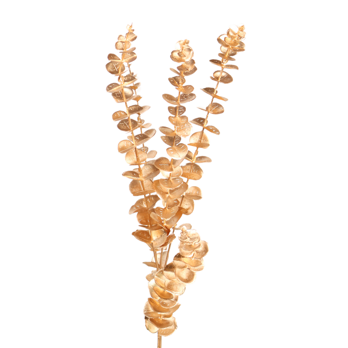 Yellow broomrapes natural material necklace lighting.