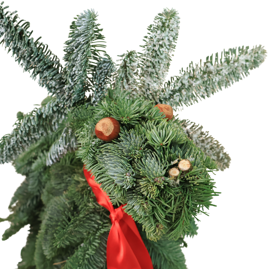 Nobilis Waltermart Reindeer (Holland)