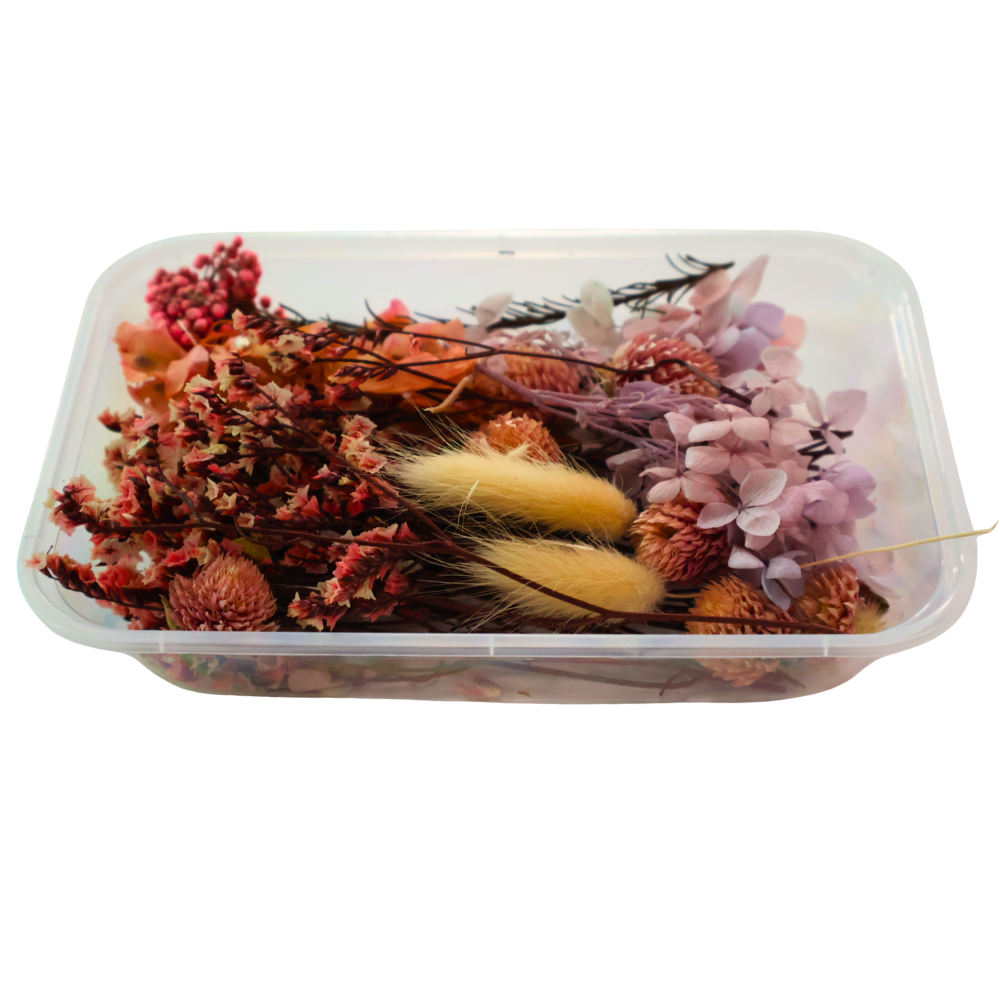 Preserved Natural Dried Flowers