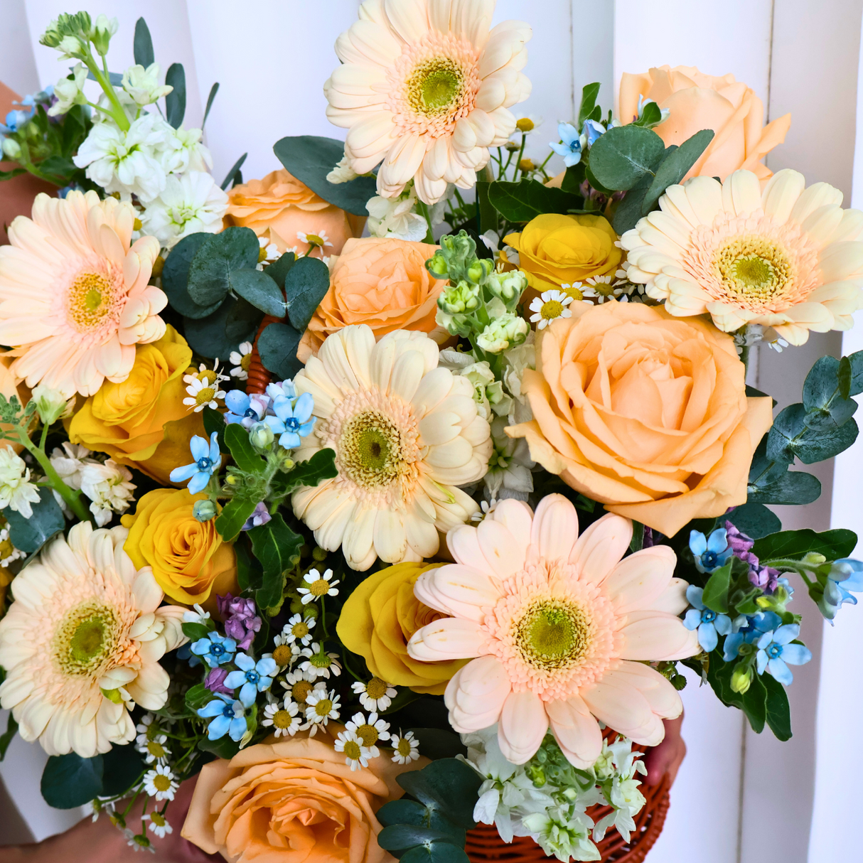 Blooming Joy (Roses, Gerbera, Tweedia) - Flower Basket