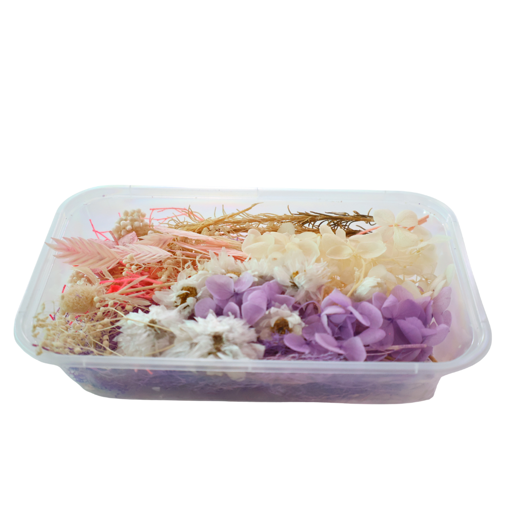 Preserved Natural Dried Flowers
